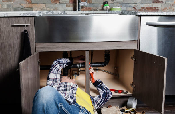 Best Plumbing Inspection Services  in Spring Valley, AZ