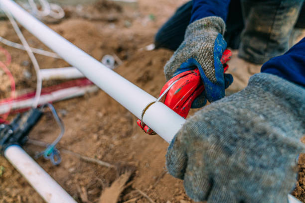 Best Toilet Repair Services  in Spring Valley, AZ